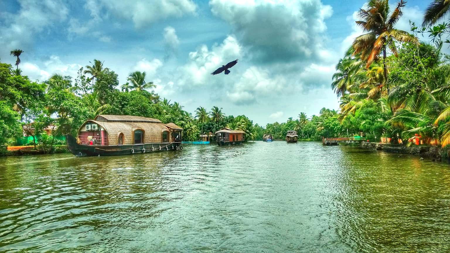 Kerala Treasures | A Tapestry of Seaside Saga & Backwater Beauty