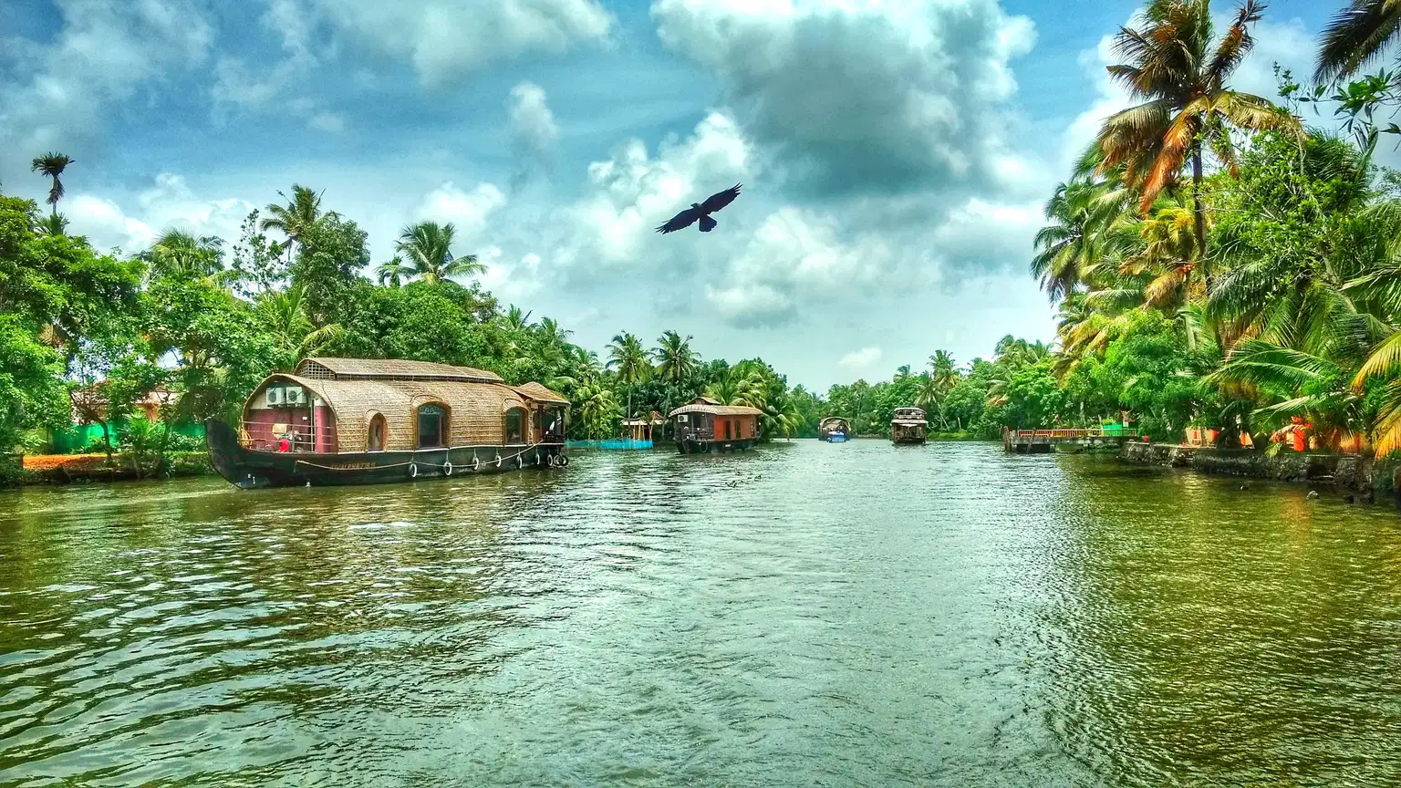 Kerala Treasures | A Tapestry of Seaside Saga & Backwater Beauty