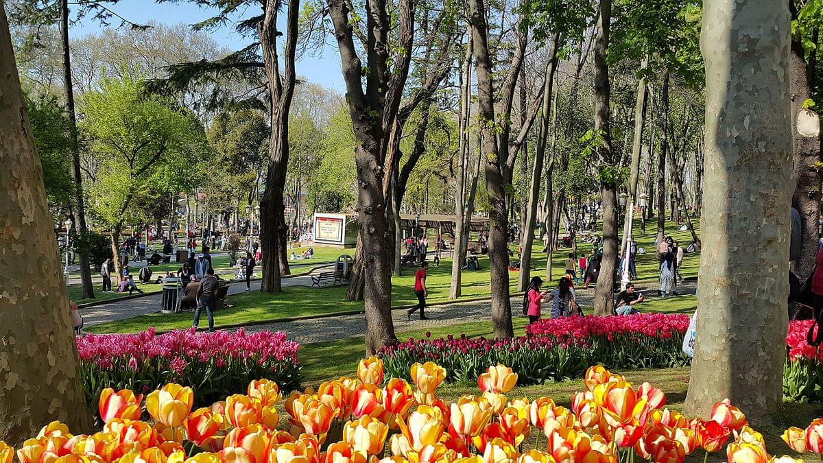 Gulhane Park Overview