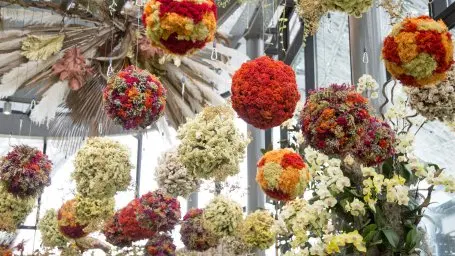 Gardens By The Bay Floral Fantasy