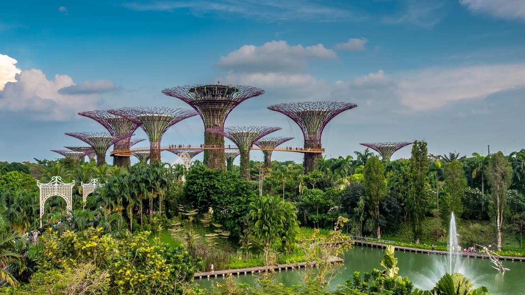 Best Time & Location of Gardens By the Bay