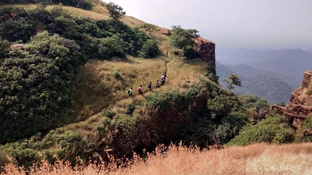 Trek Through Lush Evergreen Forests