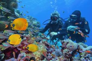 Go for 20 minutes of exciting scuba diving activity in clear waters