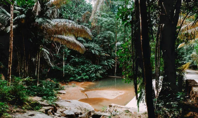 Khao Phra Thaeo National Park