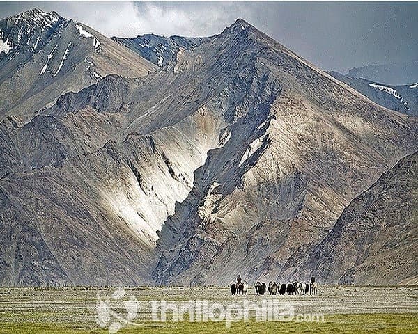 Brandy Nalla To Hemis Trek Image