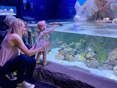Bring your kids and friends to SeaQuest Fort Worth aquarium