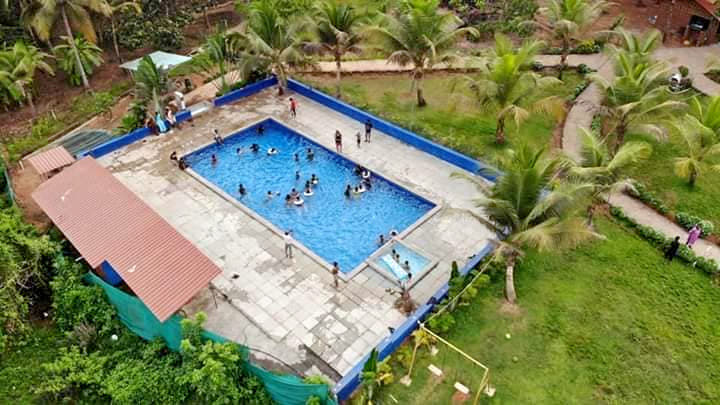 6 Shades Of Nature Image