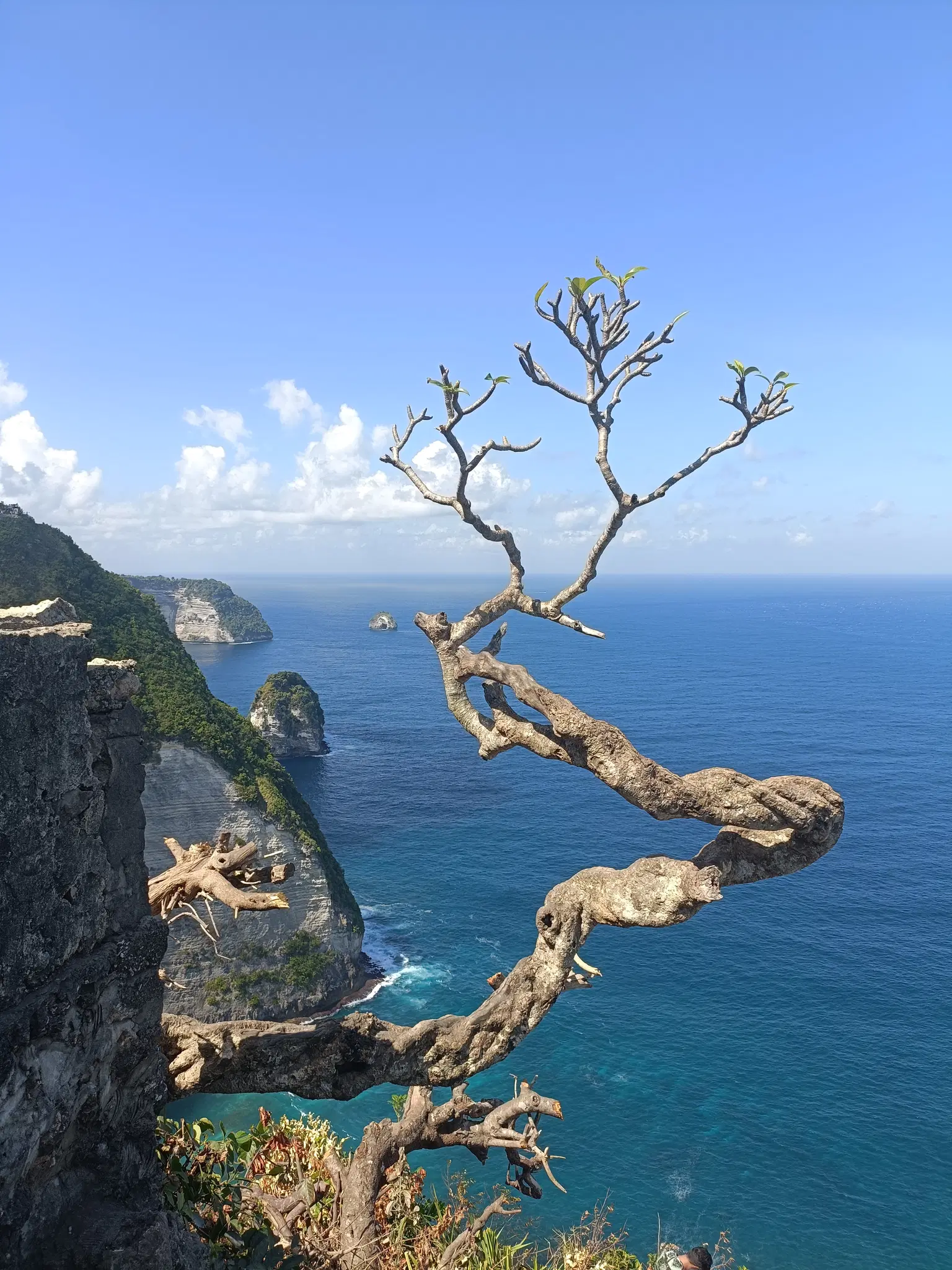 Photo from RAKSHA GHOSH's trip