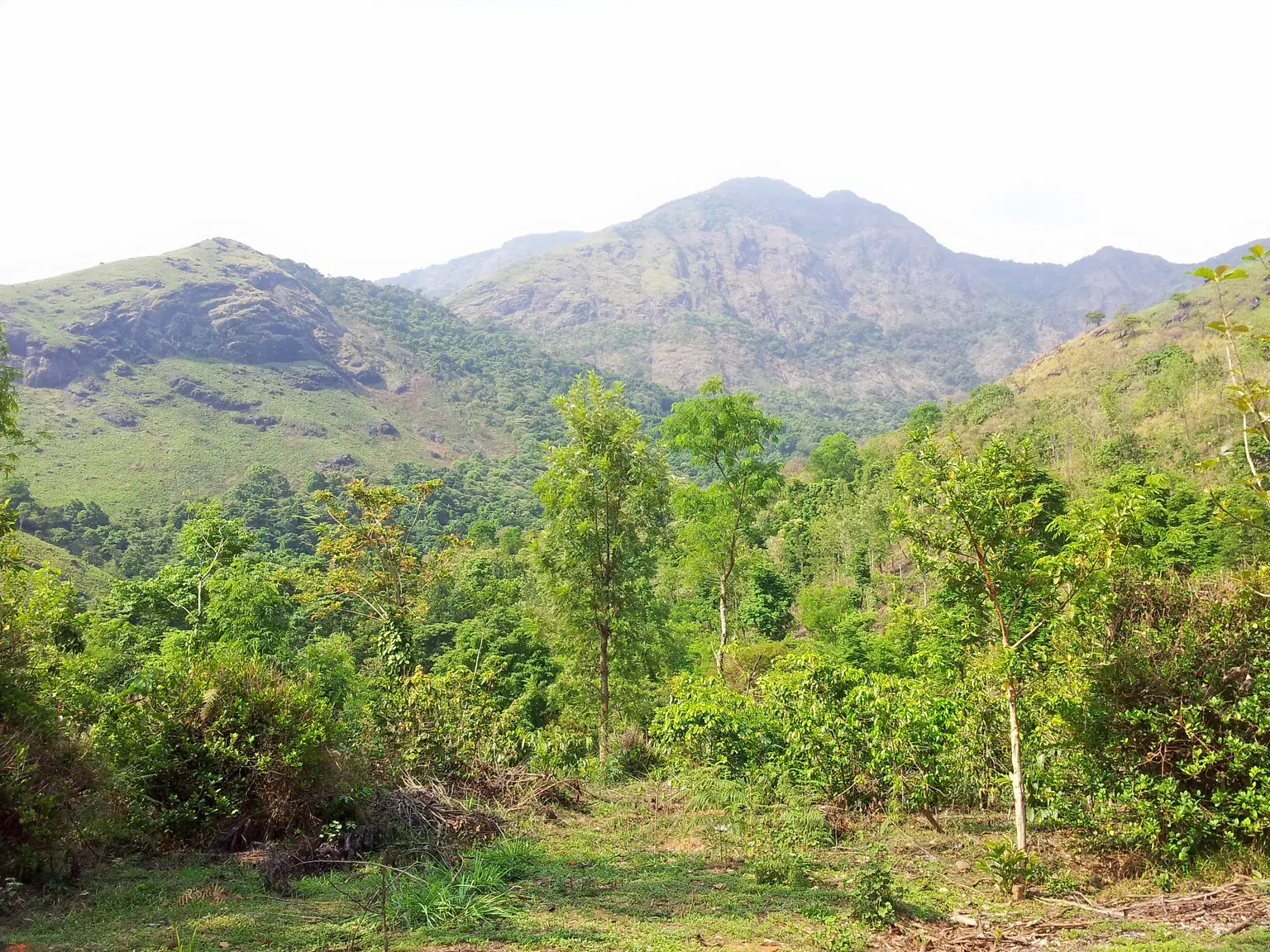 Photo from Vasudeva Marar's trip