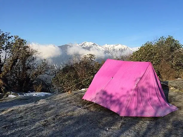 Camp in the Wild