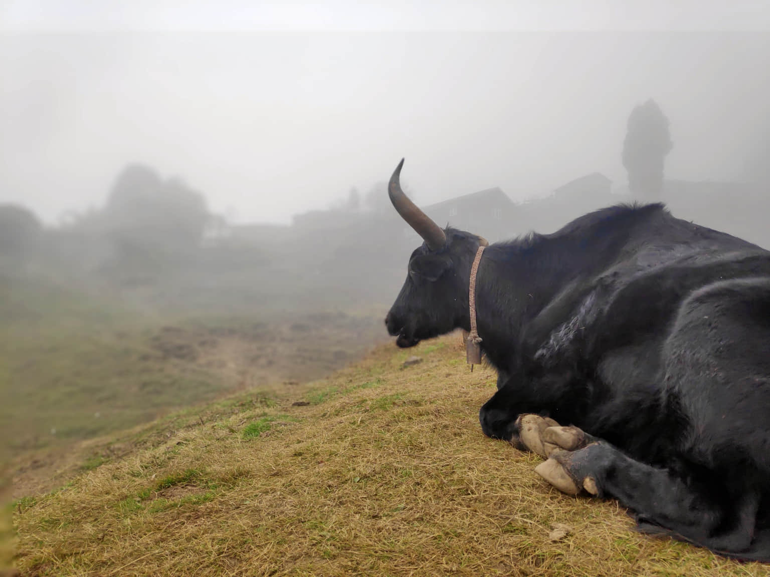 Photo from Vipin C's trip