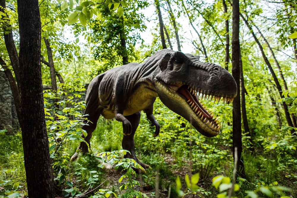 Dino Park