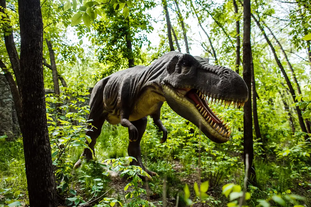 Dino Park