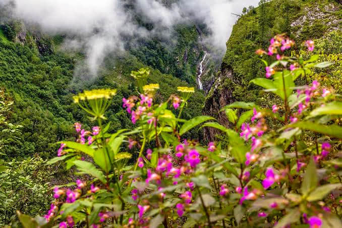 Nanda Devi National Park, <em>Auli</em>