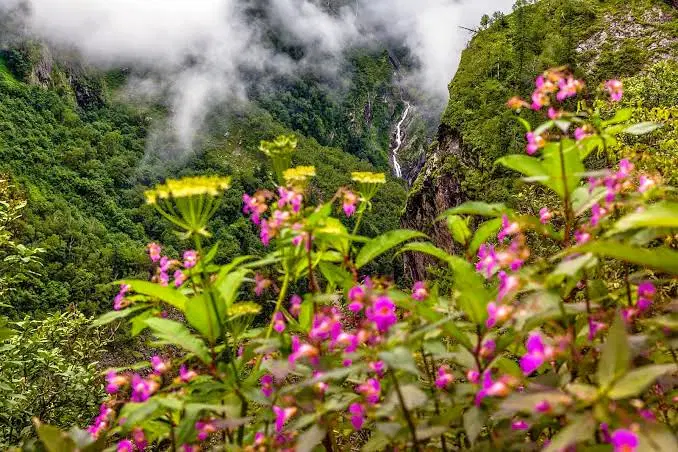 Nanda Devi National Park