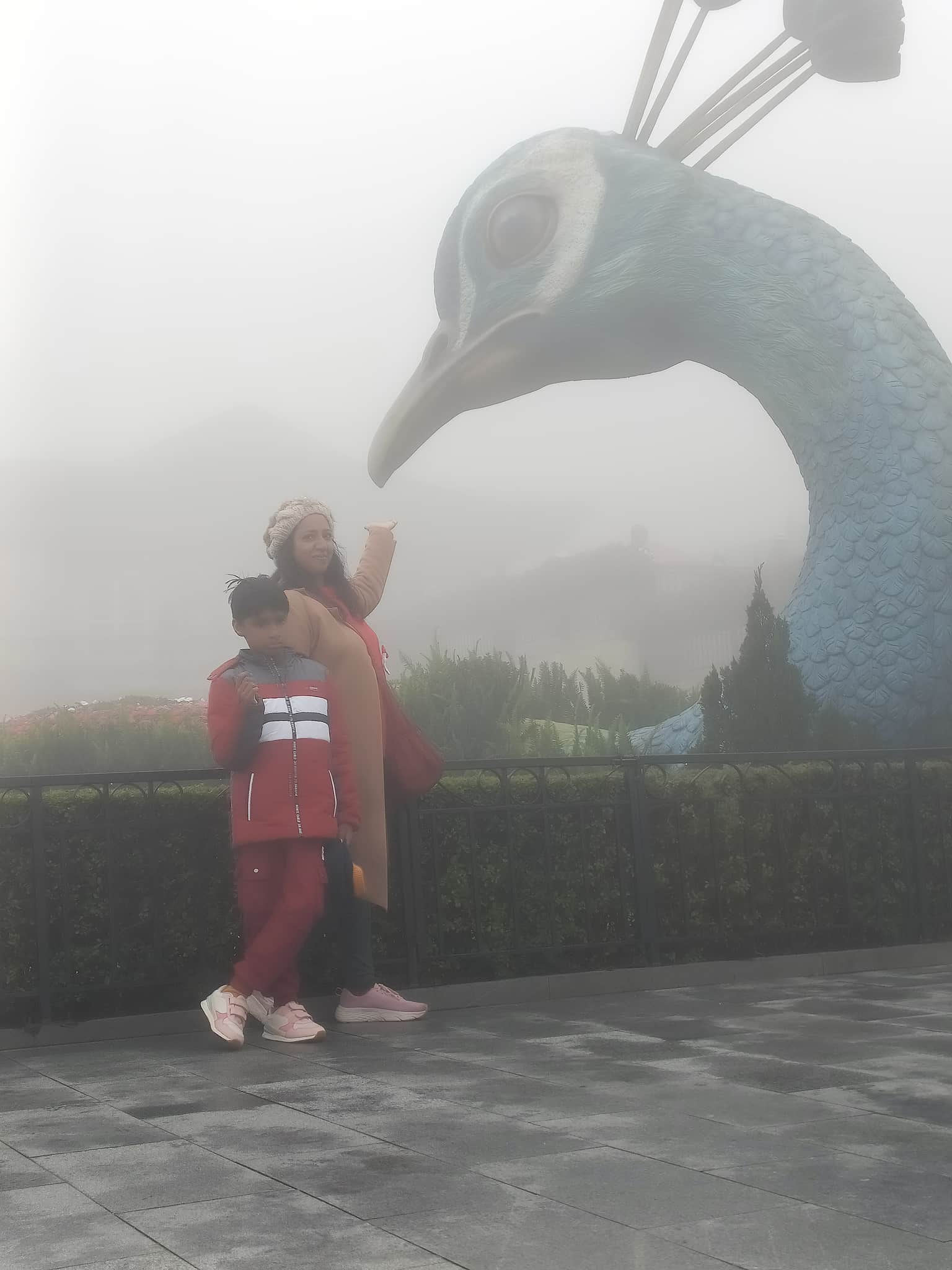 Photo from jyotsna mona's trip