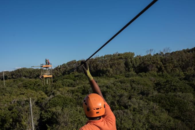 Ziplining In Cape Town