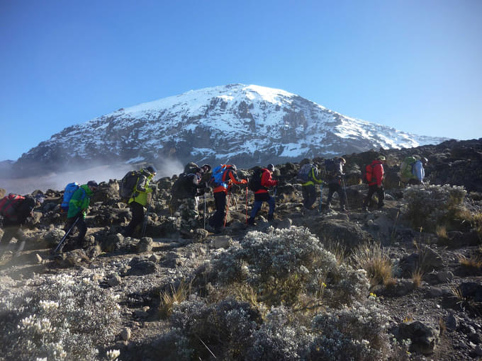 Climb Mount Kilimanjaro