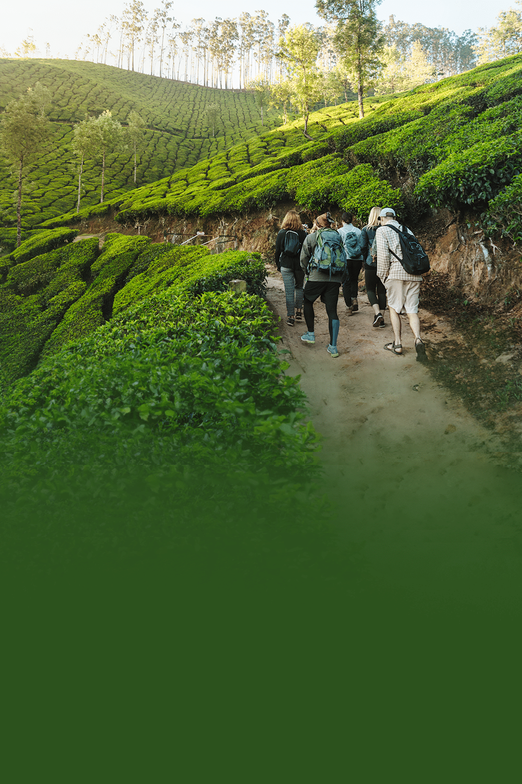 Kerala Group Tour Package | Free Visit to  Periyar National Park