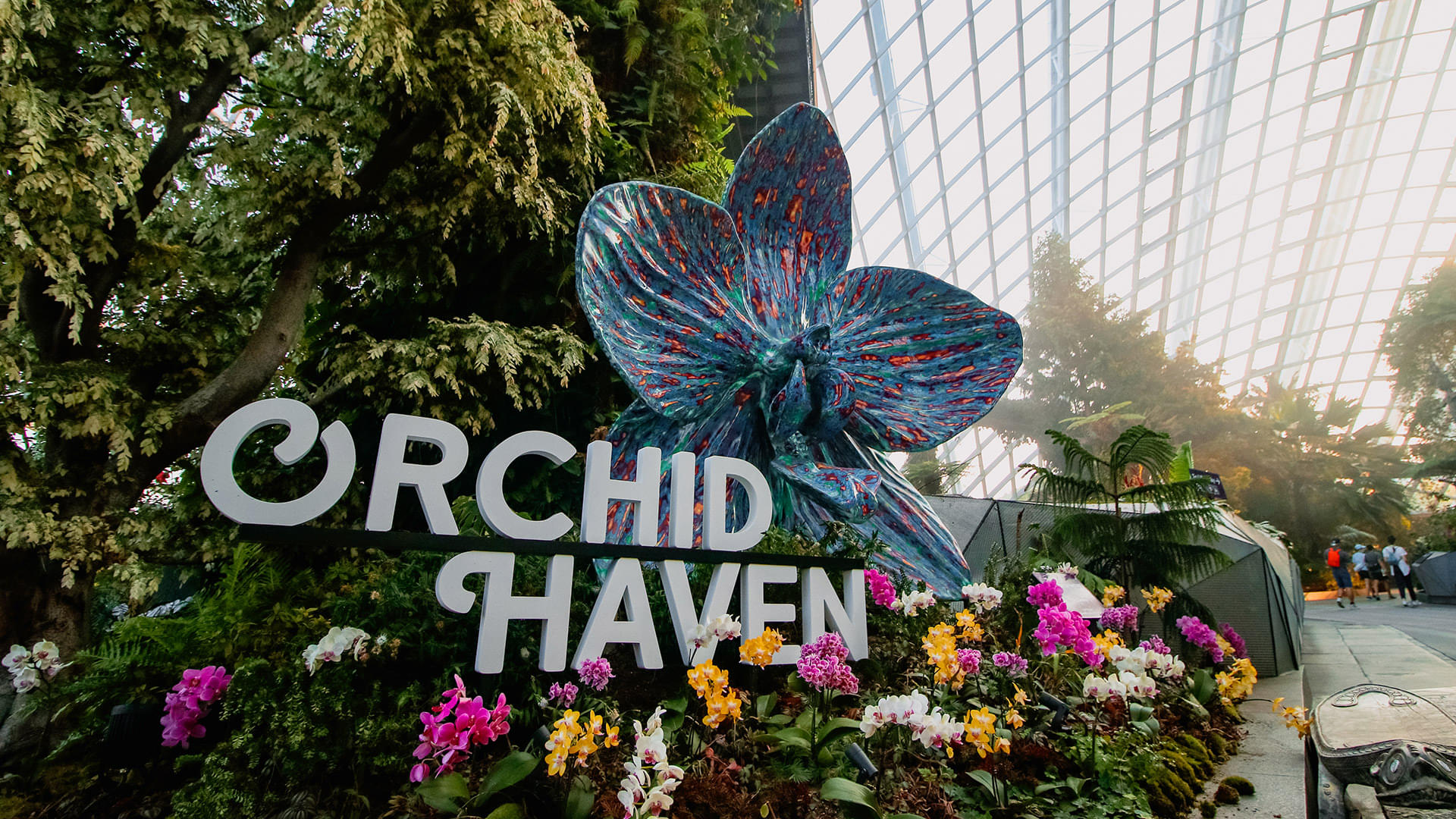 Explore the heaven of Orchid 