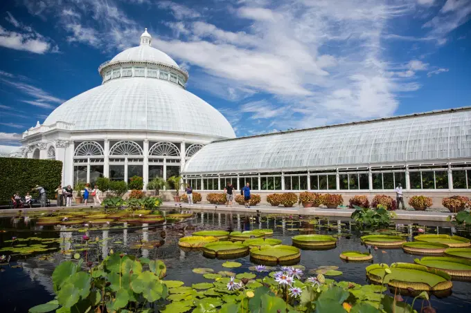 Visit the beautiful New York Botanical Garden