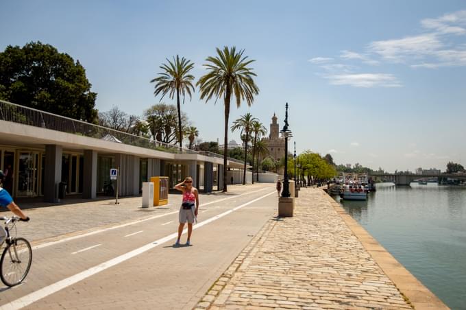 Things To Do In Seville