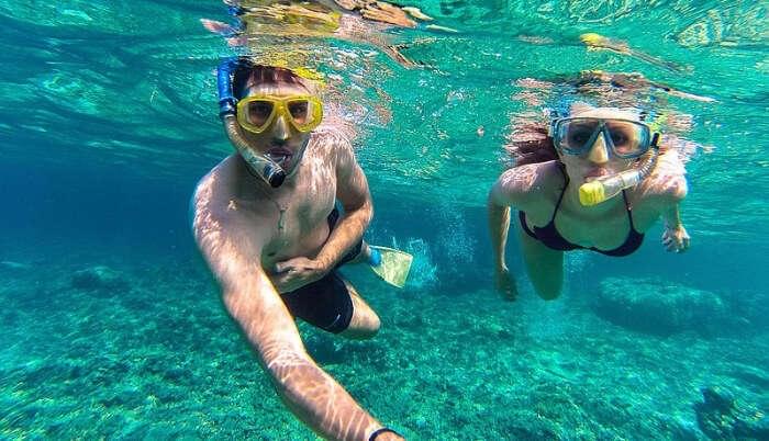 Explore Marine Life By Snorkelling