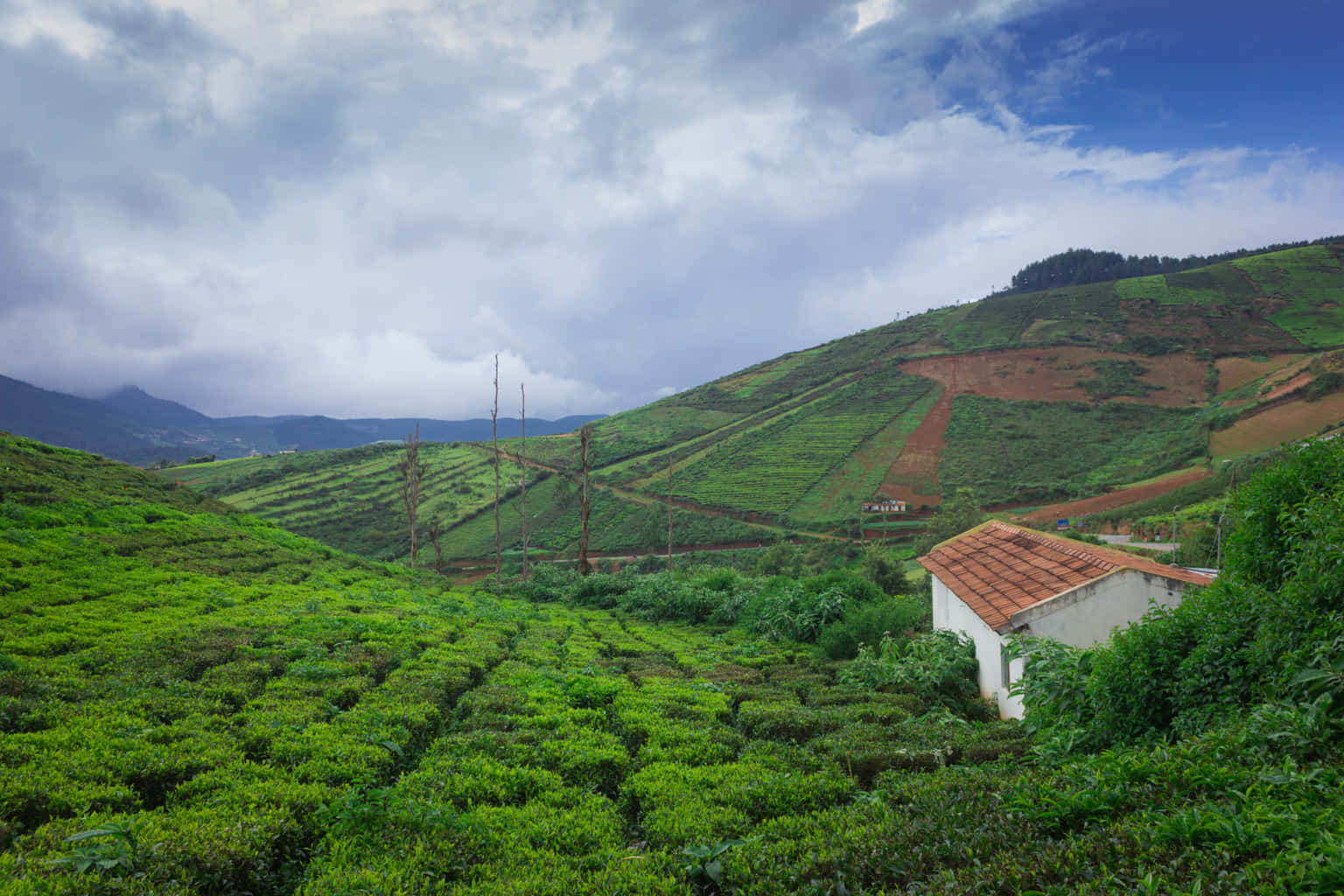 2 Days Coorg Tour Package From Bangalore