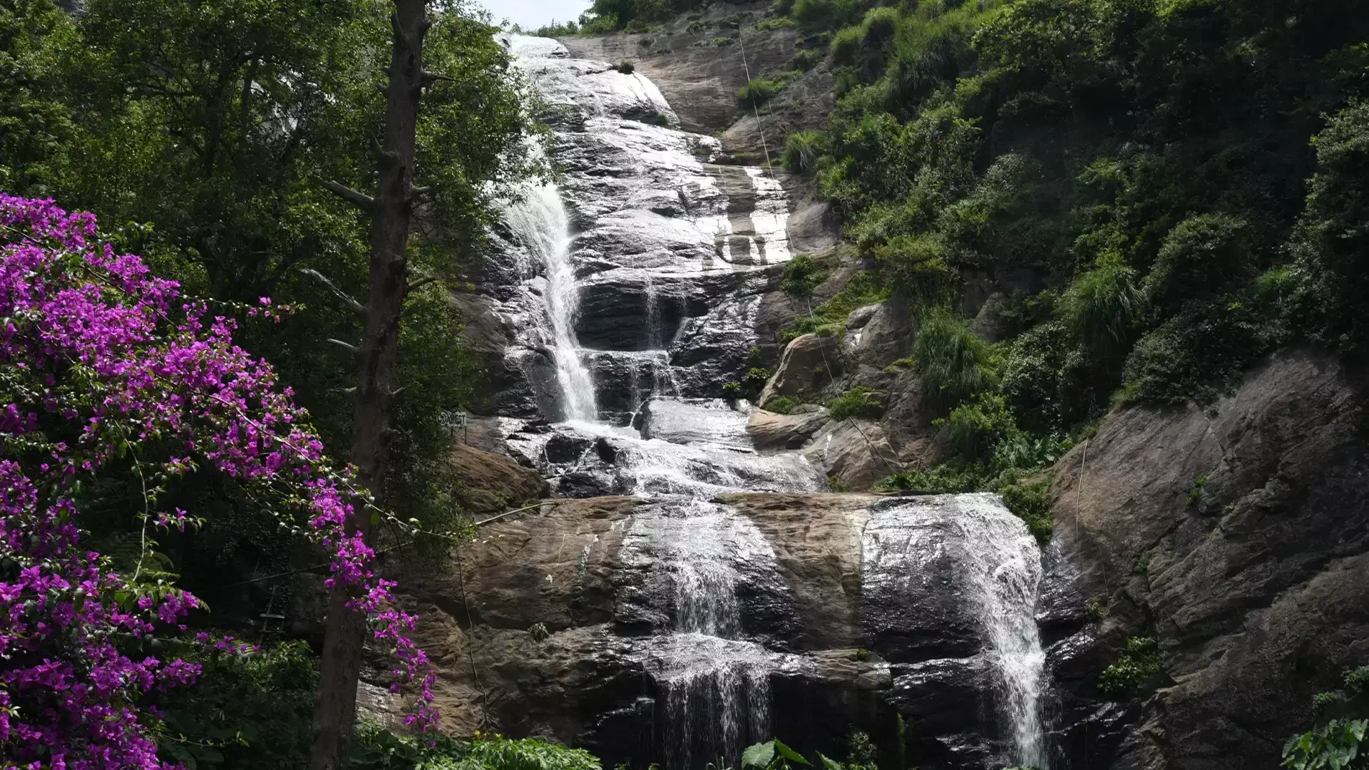 Bear Shola Falls  Overview