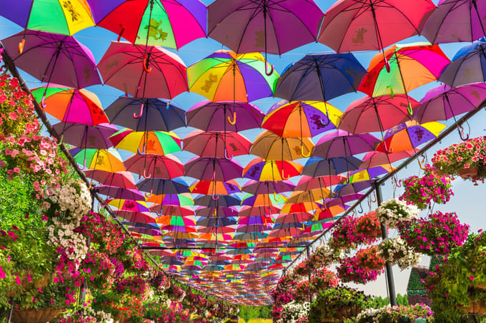 Umbrella Passage in Miracle Garden Dubai