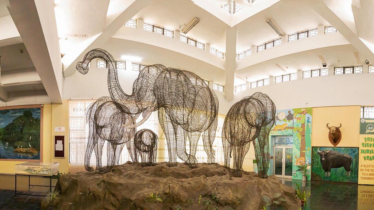 Visit the Regional Museum of Natural History