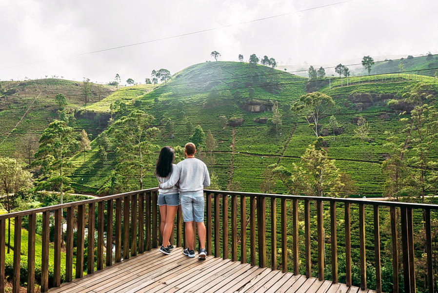 4 Days Sri Lanka Honeymoon Tour On A Budget Image