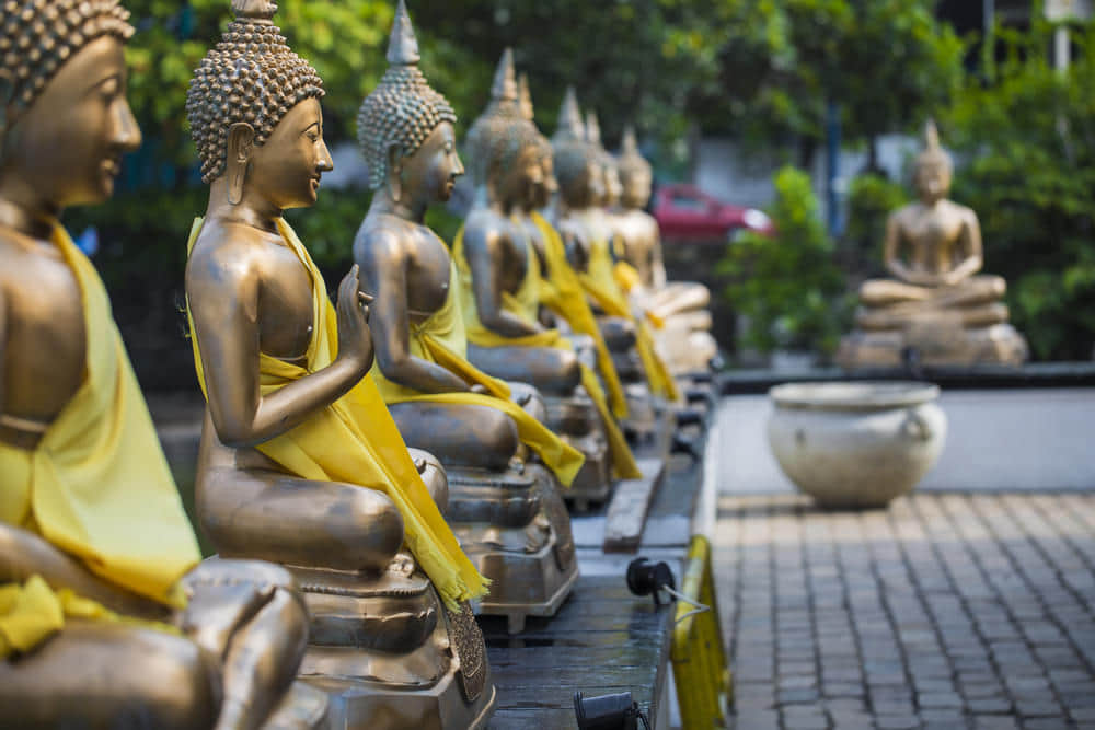 Discover Colombo (Upto 20% Off)