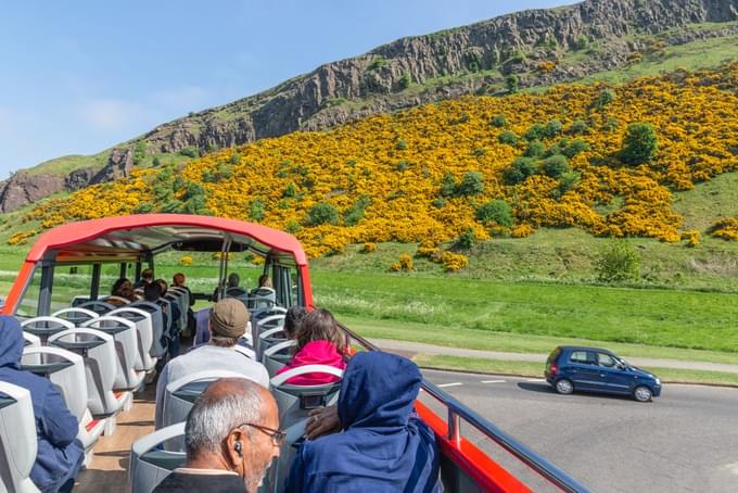 Hop-On Hop-Off Bus Tours & Firth of Forth Cruise