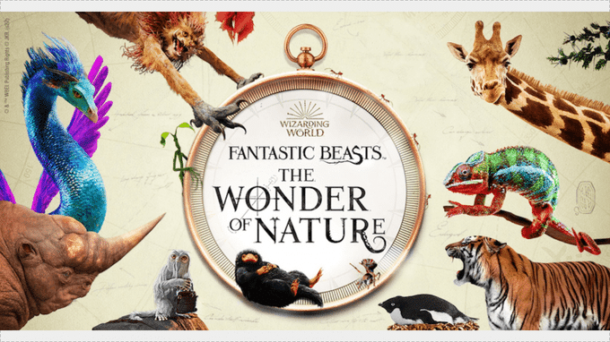 Fantastic Beasts: The Wonder of Nature