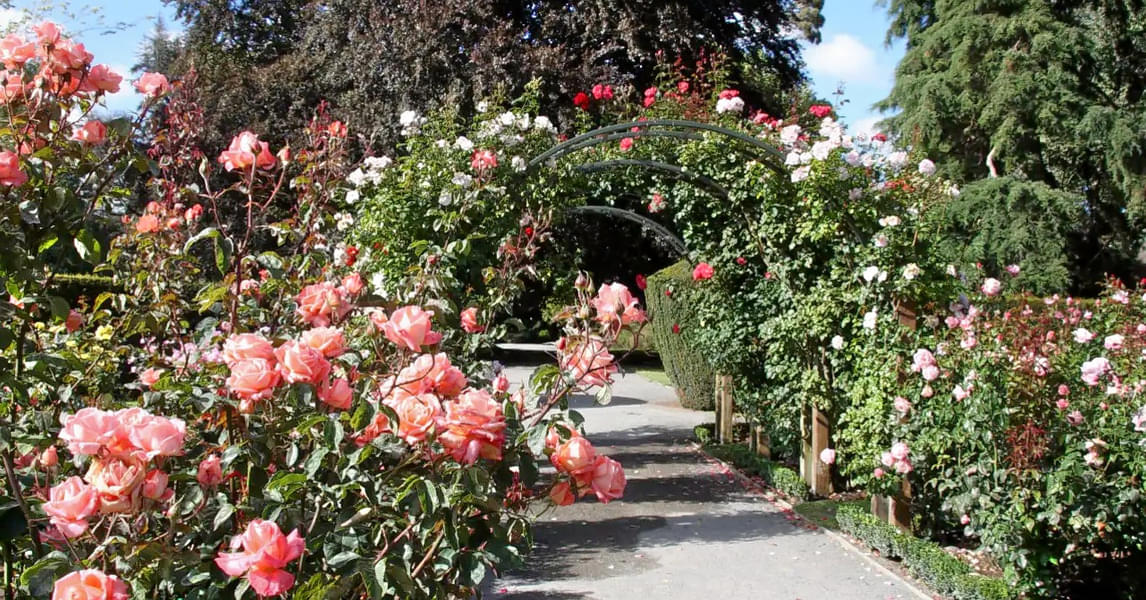 Christchurch Botanic Gardens Tour Image