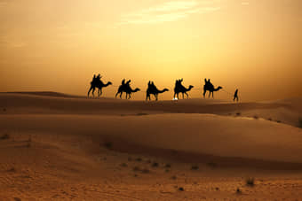 Experience a calming camel ride as the sun rises over the horizon