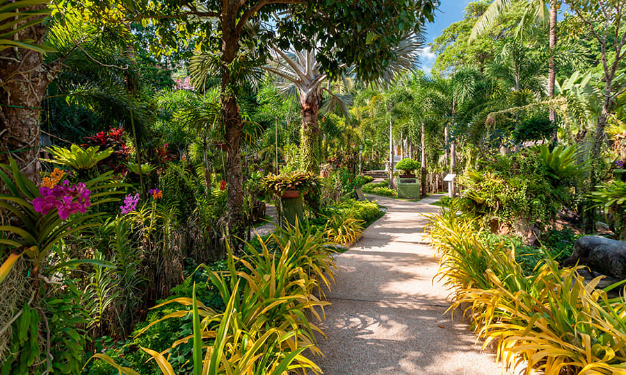 Phuket Botanic Garden Admission Ticket Image