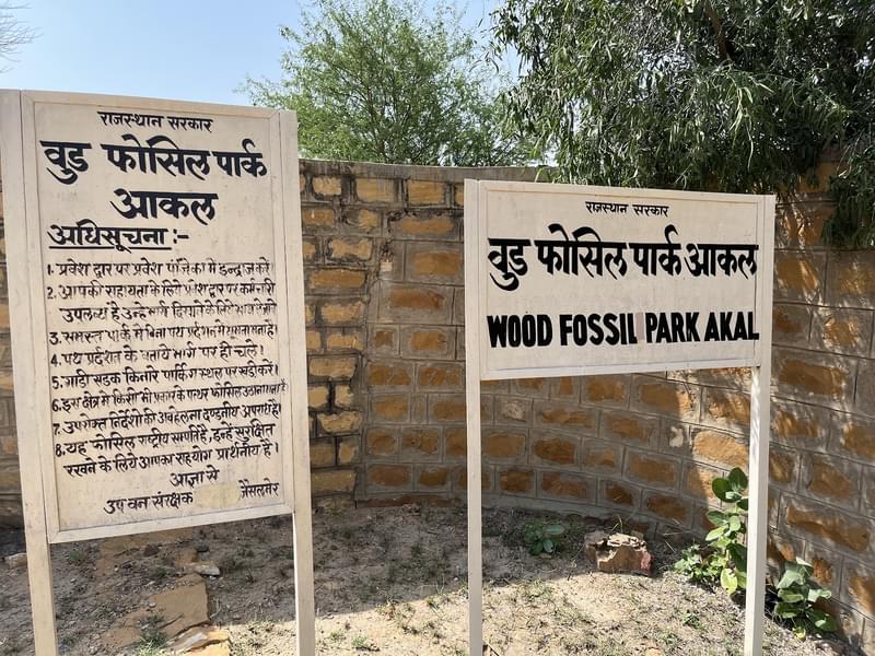 Akal Wood Fossil Park Tour Image