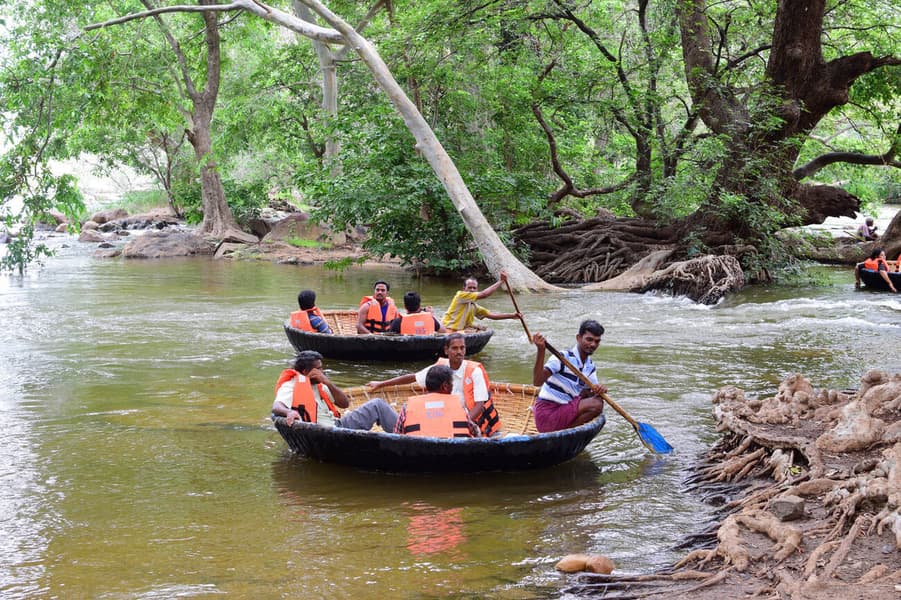 Hogenakkal Falls Trip With Coracle Ride Image