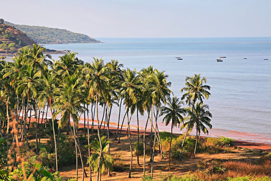 Pune to Dapoli Sightseeing Tour Image