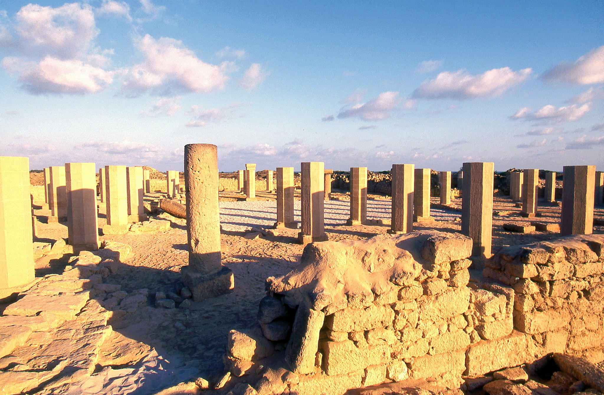 Al Baleed Archaeological Park Overview