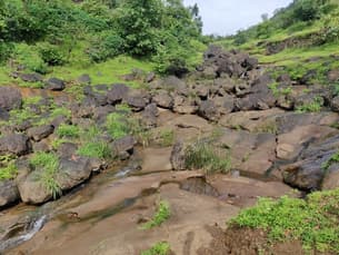 Lfb440ybbmtmtmzqbswh882obgdp 2019 10 06