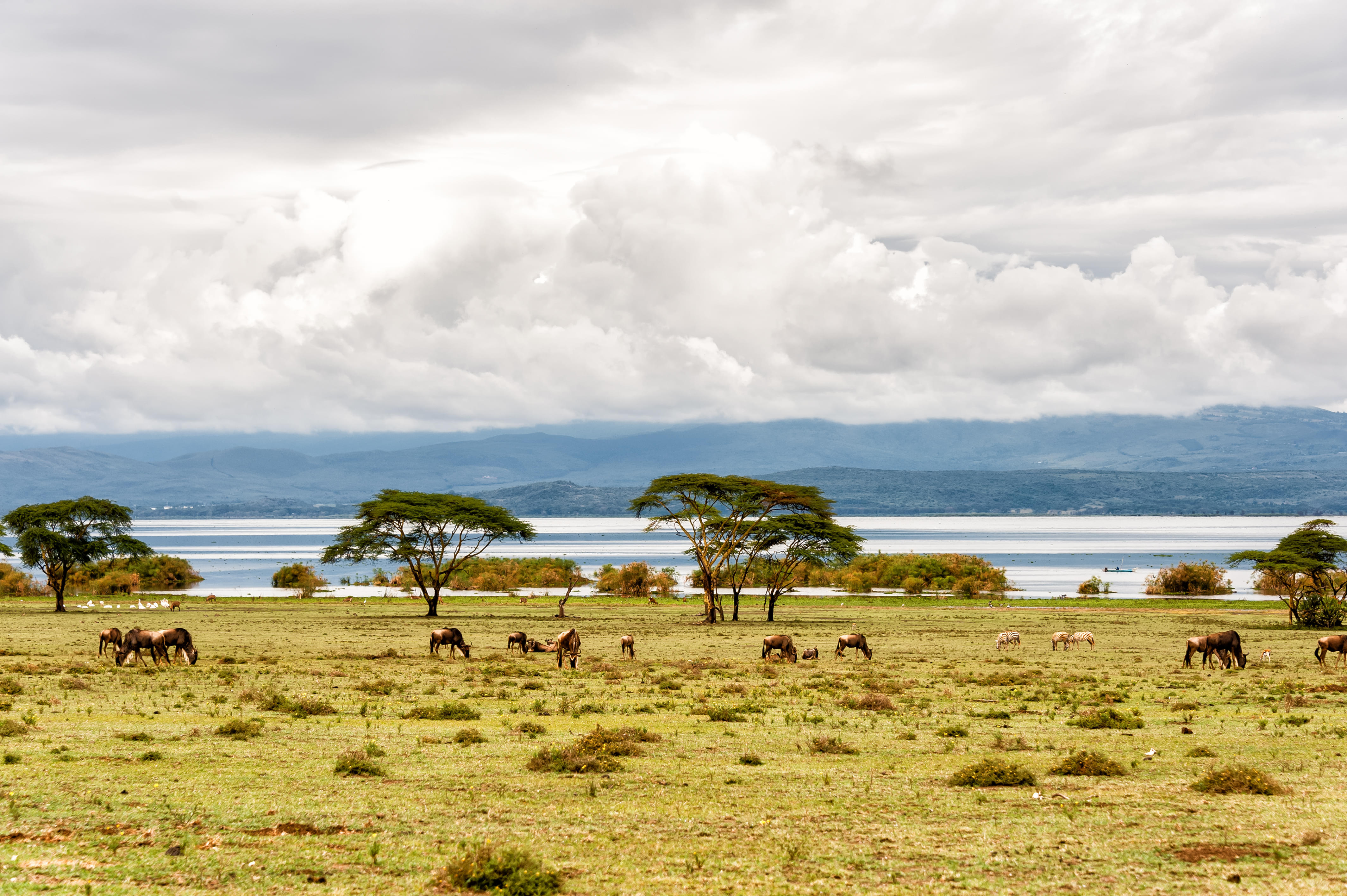 Naivasha Tour Packages | Upto 40% Off