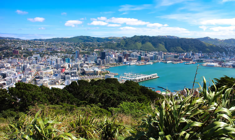 15 Places to Visit in Wellington, Tourist Places & Attractions