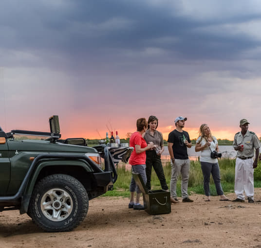 Gear up for a thrilling wildlife safari at Kruger National Park