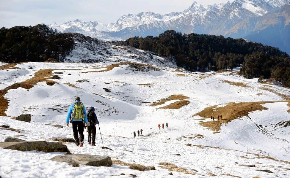The Kuari Pass Trek