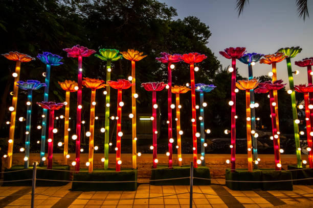 Witness the Magic of Dubai Garden Glow