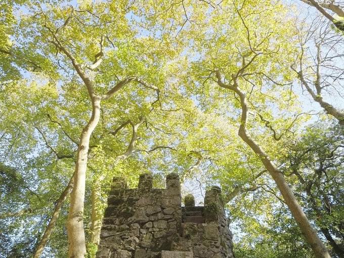 Tomb in Moorish Castle