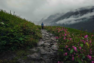 Valley of Flowers Trek Day 1